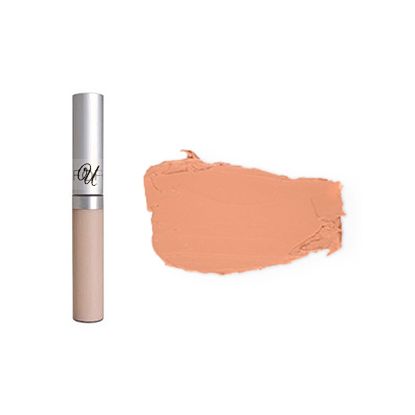 Concealer, Liquid Wise Disguise (Wand) : Apricot